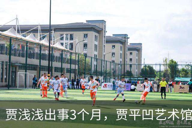 贾浅浅出事3个月，贾平凹艺术馆被法拍，建馆8000万他没出一分钱